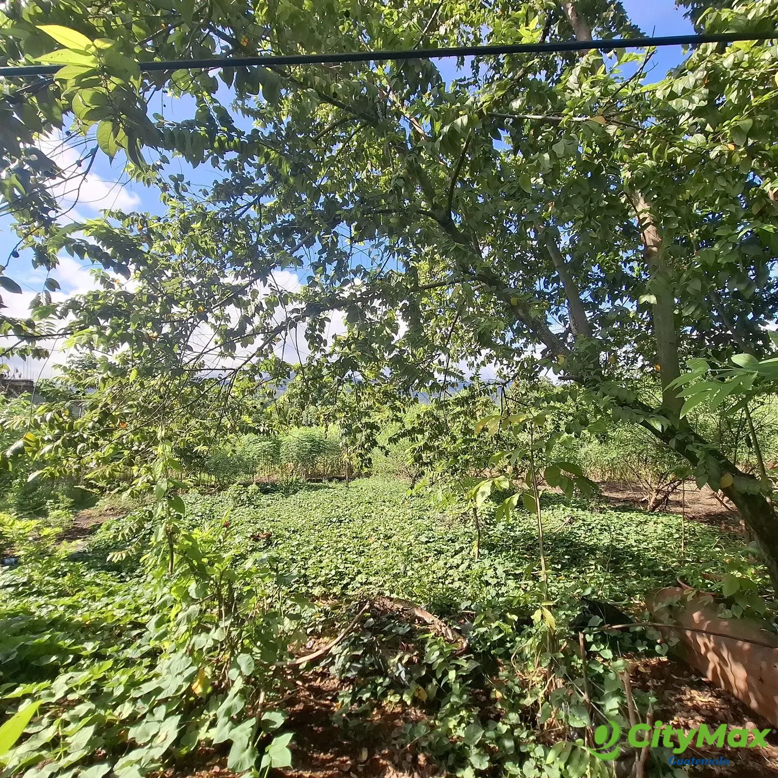Terreno En Venta En El Estor Izabal Guatemala - foto 2