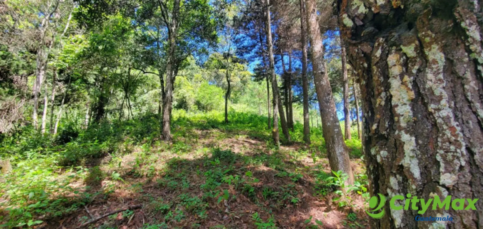 Rancho Verde Fraijanes Lote en venta - foto 13