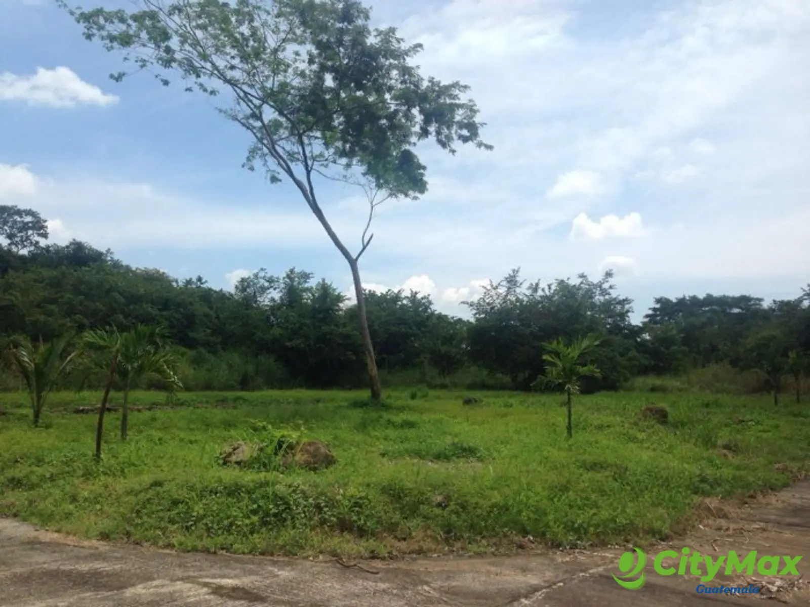 Terreno en VENTA en Km 79 Autopista Puerto Quetzal - foto 2