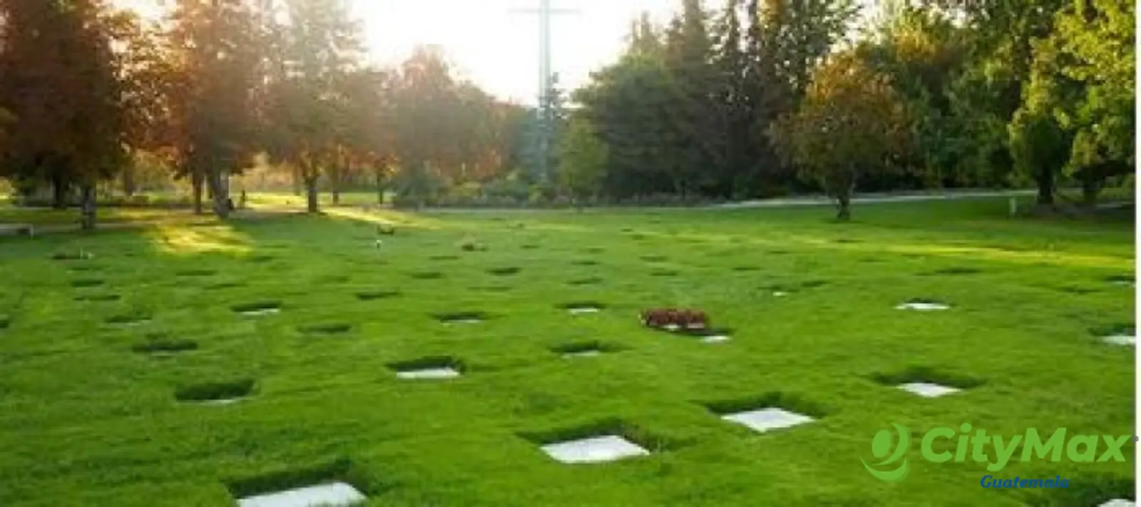 Terreno en venta Cementerio Los Parques - foto 5