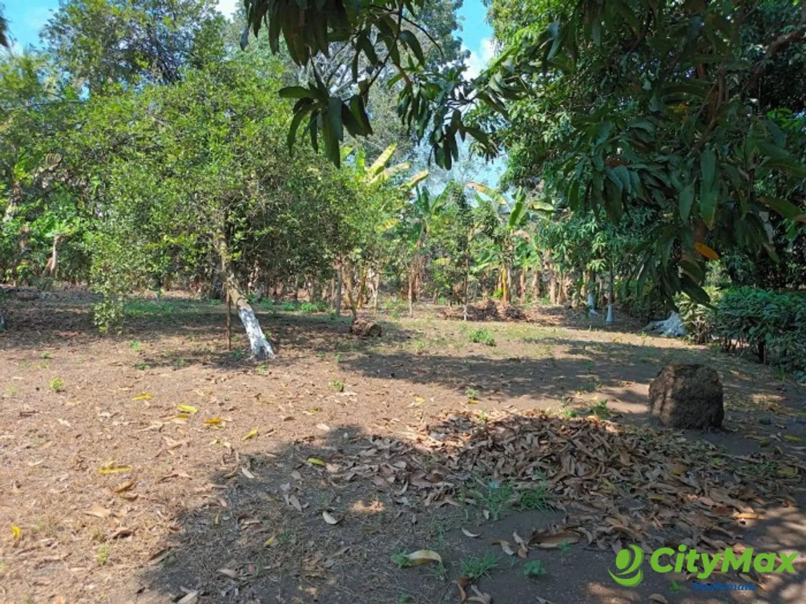GRANJA EN RENTA PUERTO DE SAN JOSE ESCUINTLA - foto 9