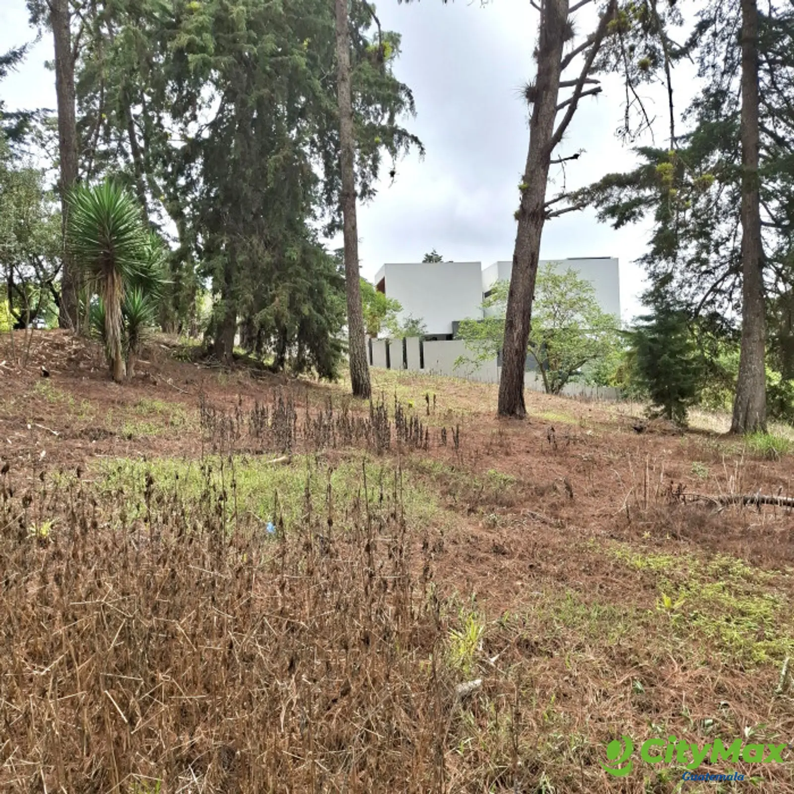 Terreno en VENTA en Zona 16 El Pulté Villa Ecuestre - foto 5