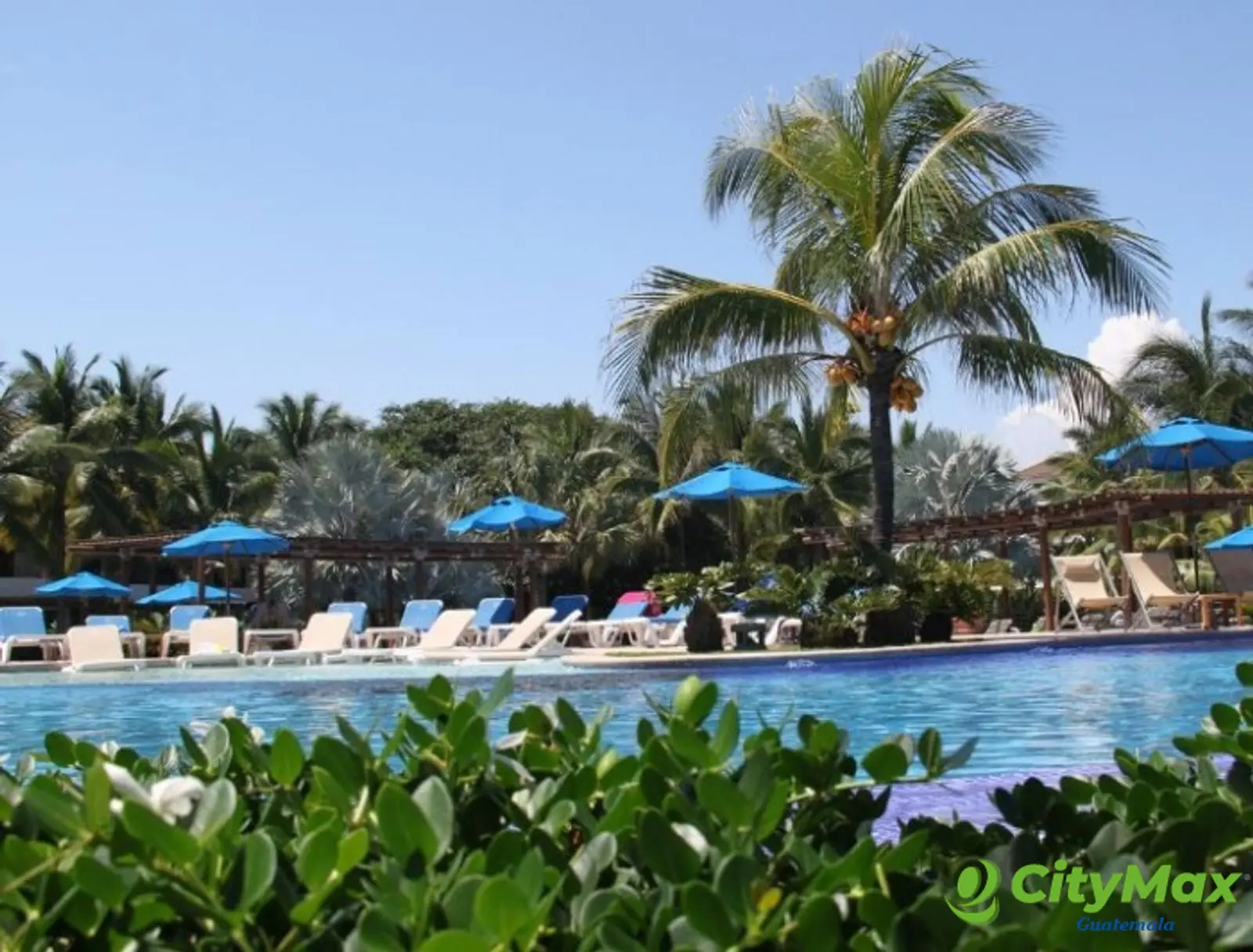 Apartamento en Venta o Renta en Los Cabos Monterrico - foto 4