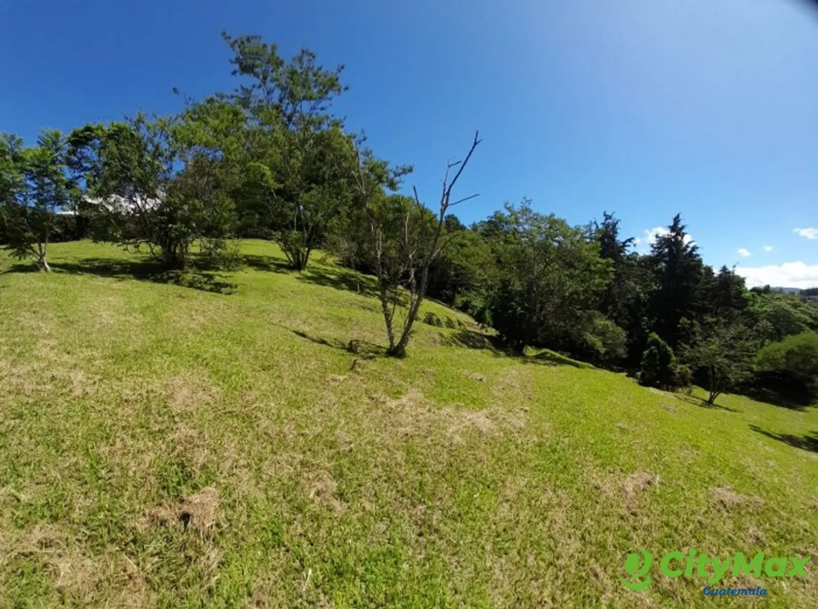 TERRENO RESIDENCIAL EN VENTA SAN GERMAN DEL BOSQUE FRAI - foto 13