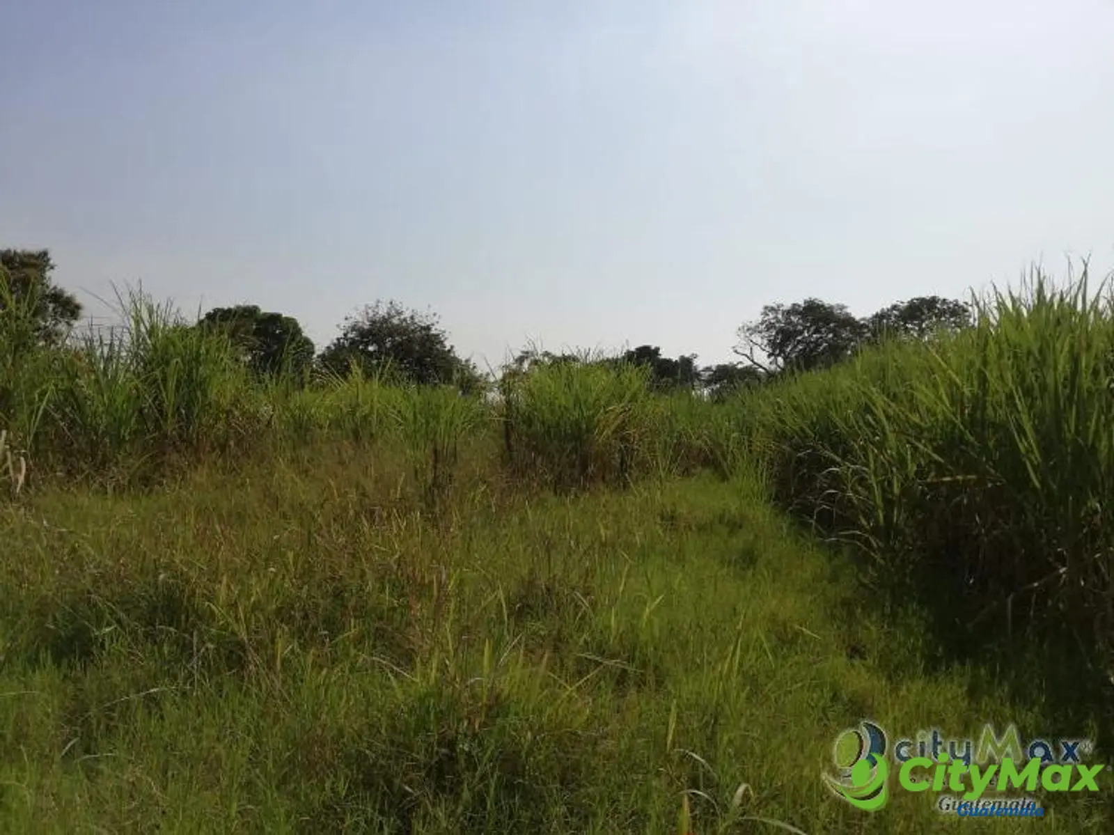 Finca en venta de 115,711.70 vrs. en Masagua, Escuintla - foto 4