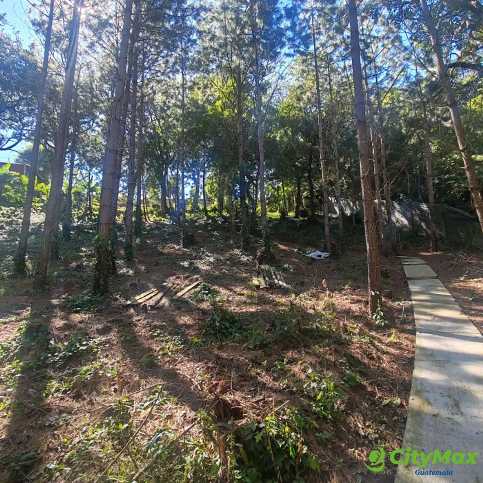 Finca en Venta de 9 manzanas en Fraijanes Guatemala - foto 6