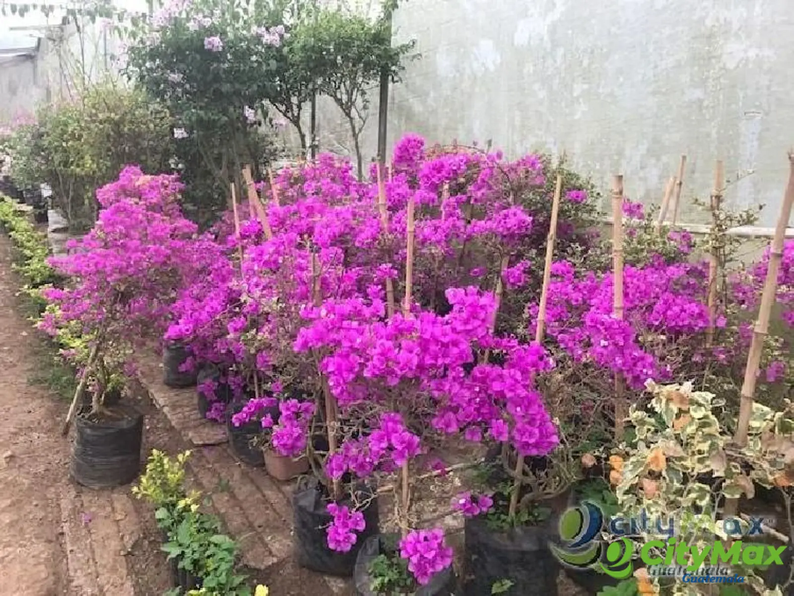 Terreno en venta para desarrollo en San José Pinula - foto 14