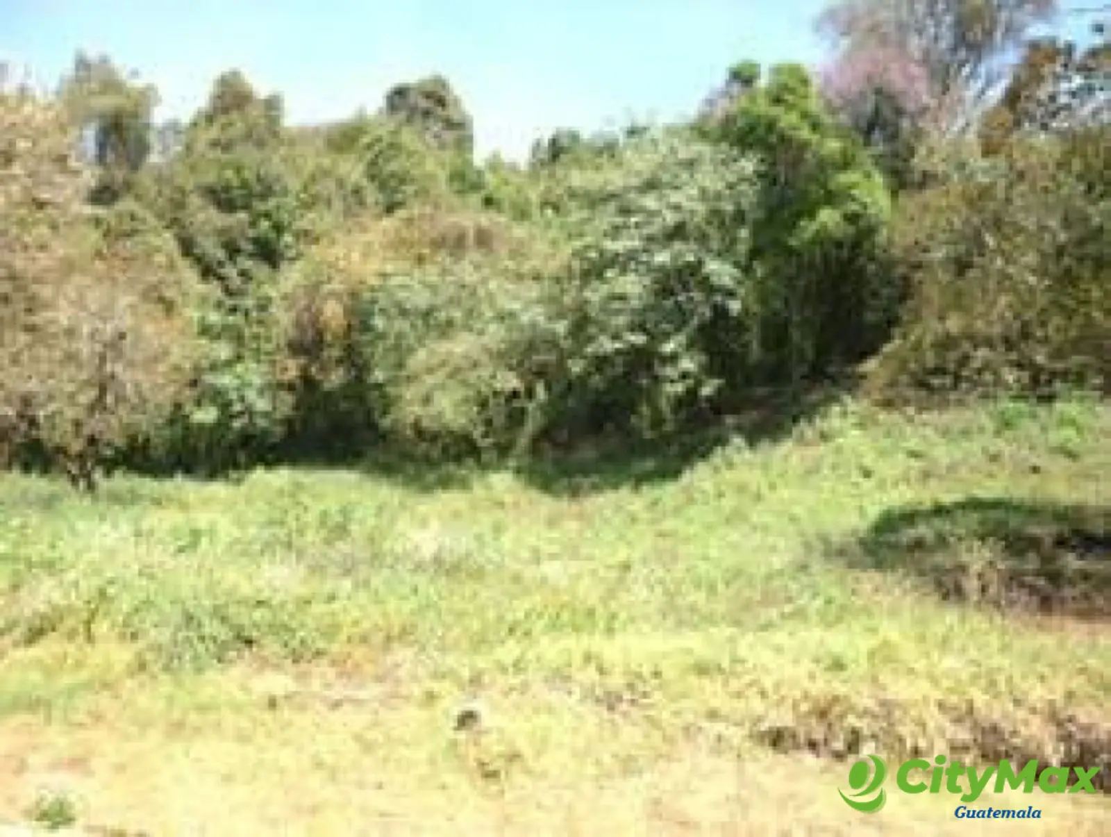 Terreno en Venta en Carretera a El Salvador km 20.5     - foto 6