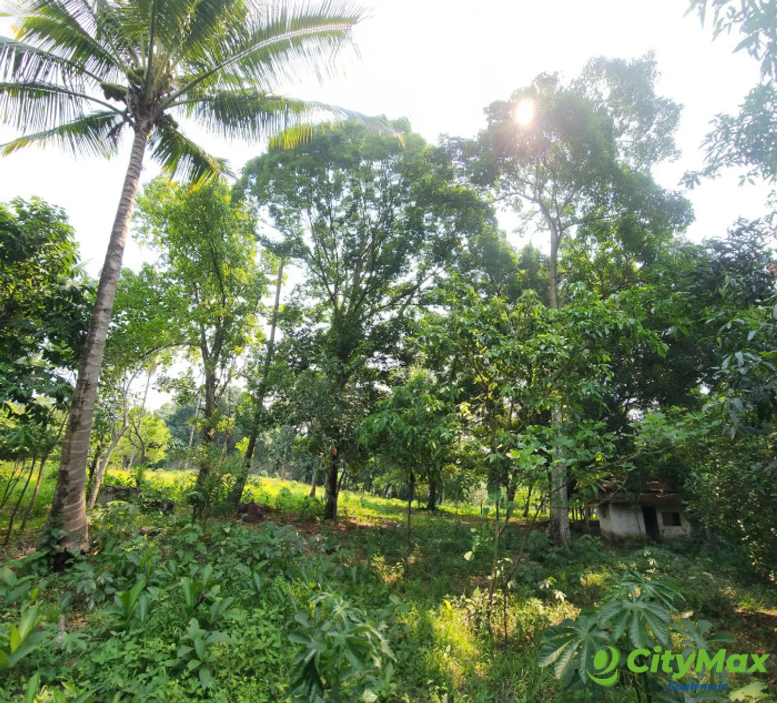 En Venta finca +40Mil Varas en el Km. 78 Ruta CA-2 - foto 14