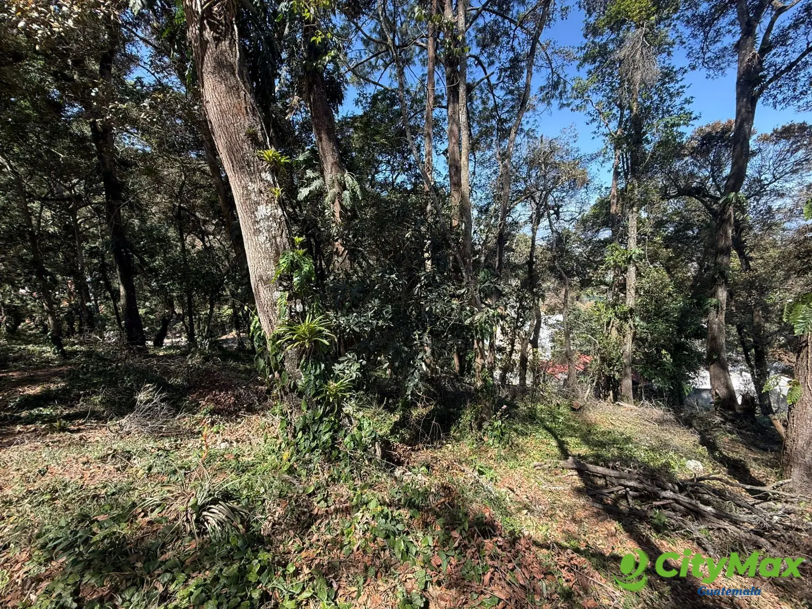Terreno en Venta en Zona 16 Las Cumbres - foto 3