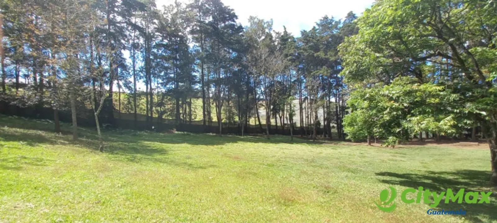 Granja con casa 25 mil varas de jardin en Venta - foto 14