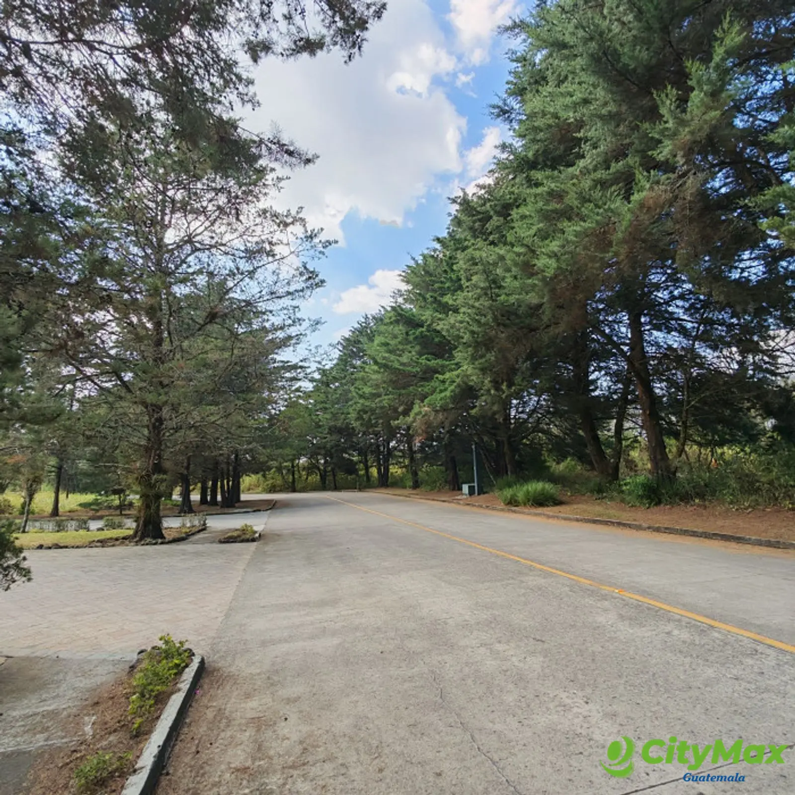 en venta en Casa & Campo Terreno plano - foto 5
