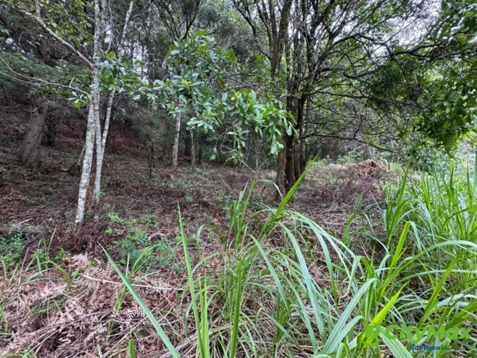 Terreno en Venta en Rancho Verde Fraijanes! - foto 5