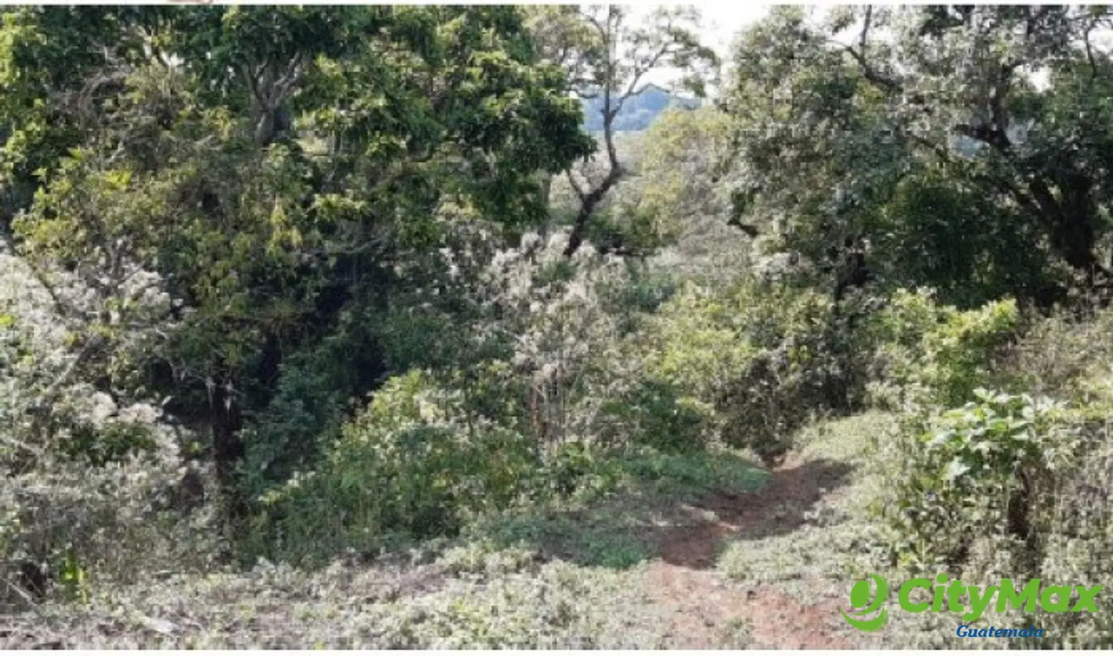 Finca en Venta en Fraijanes Guatemala - foto 6