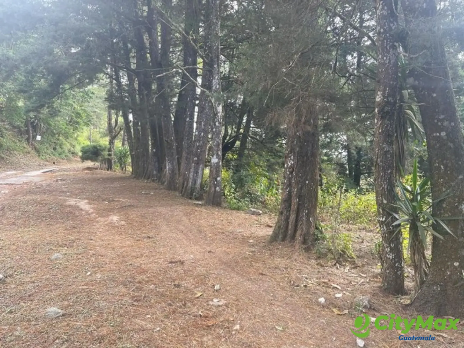 Terreno en Venta en Granja Buenos Aires - foto 2