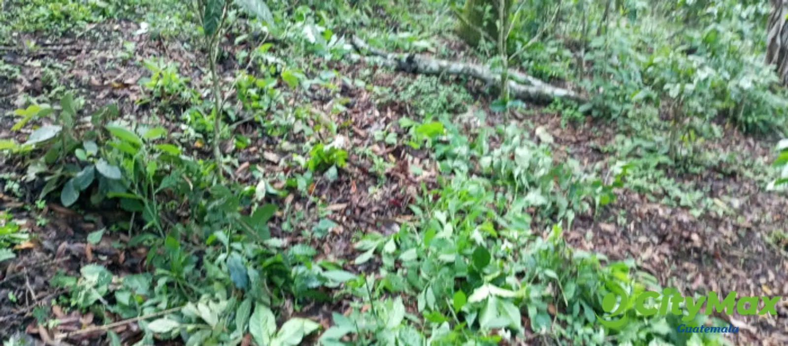 Terreno en venta para desarrollo comercial en Amatitlán - foto 14