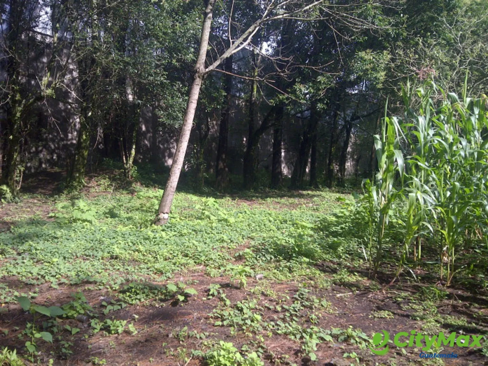 Se renta terreno de 2 manzanas Carretera al Salvador - foto 7