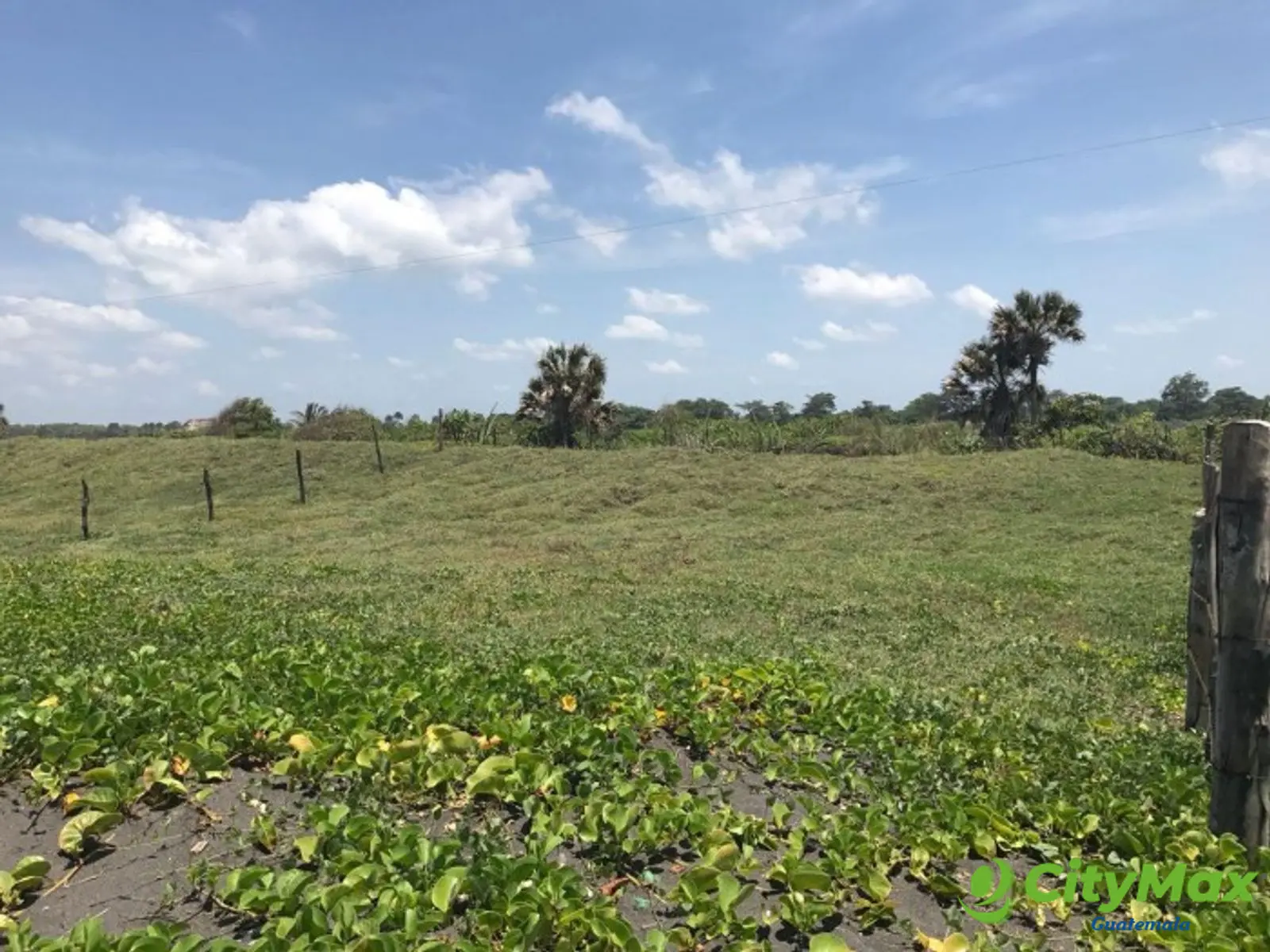 VENDO TERRENO VACACIONAL EN PLAYA RAMA BLANCA SIPACATE - foto 13