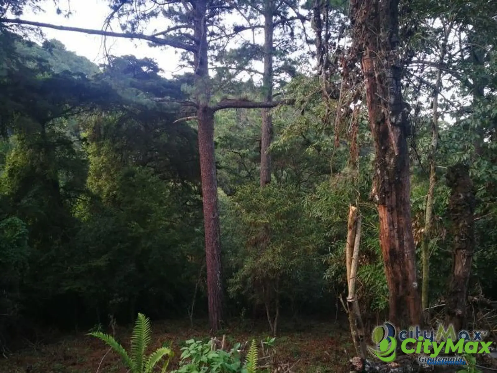 Terreno residencial en venta en Los Pinos Mixco zona 7 - foto 11