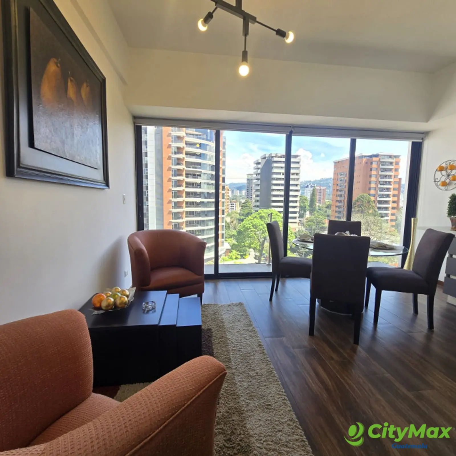 Apartamento Amueblado Renta o venta Casa Clara Zona 10 - foto 6