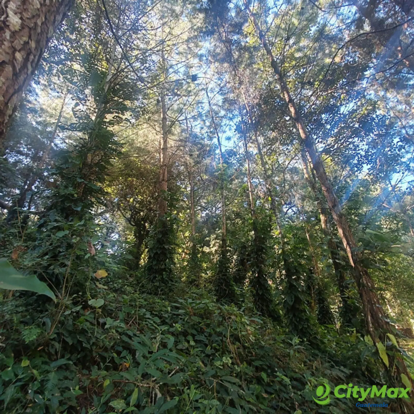 Finca en Venta de 9 manzanas en Fraijanes Guatemala - foto 5