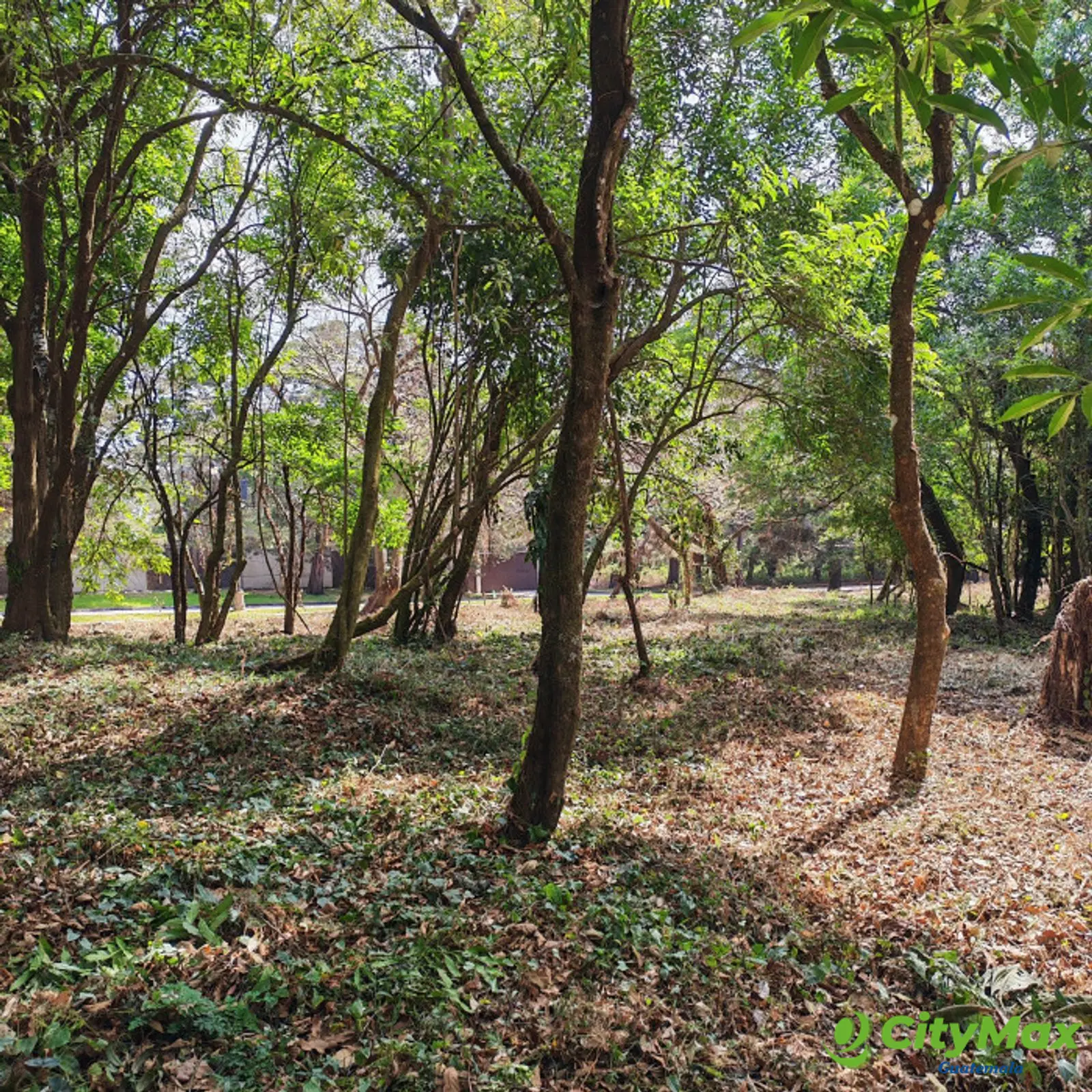 En Venta Terreno en Casa & Campo Guatemala - foto 13