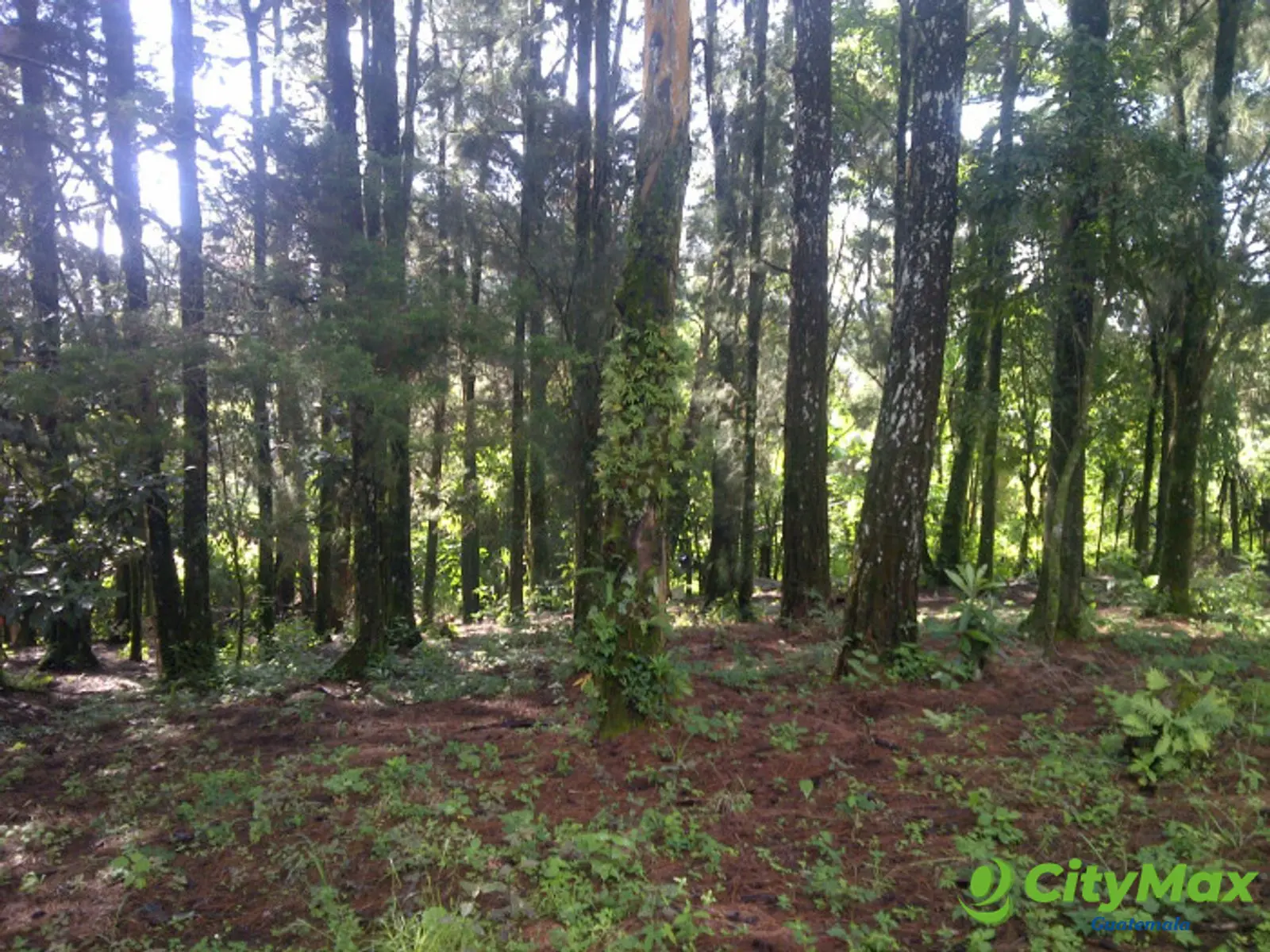 Se renta terreno de 2 manzanas Carretera al Salvador - foto 9