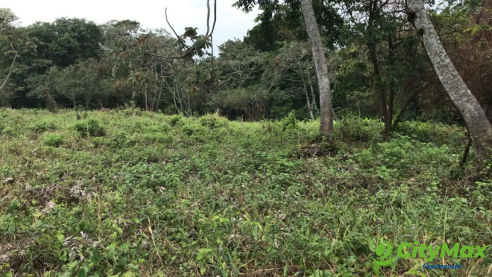 TERRENO EN VENTA CAMPO AVENTURA PALIN ESCUINTLA - foto 12