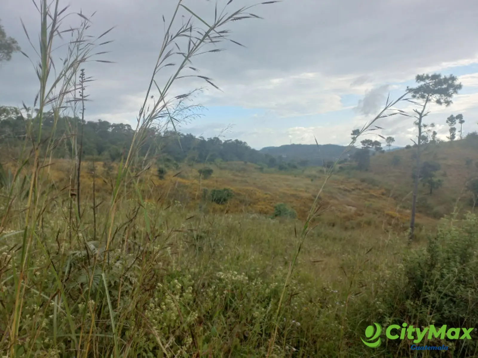 Terreno Comercial área San Pedro Ayampuc - foto 9