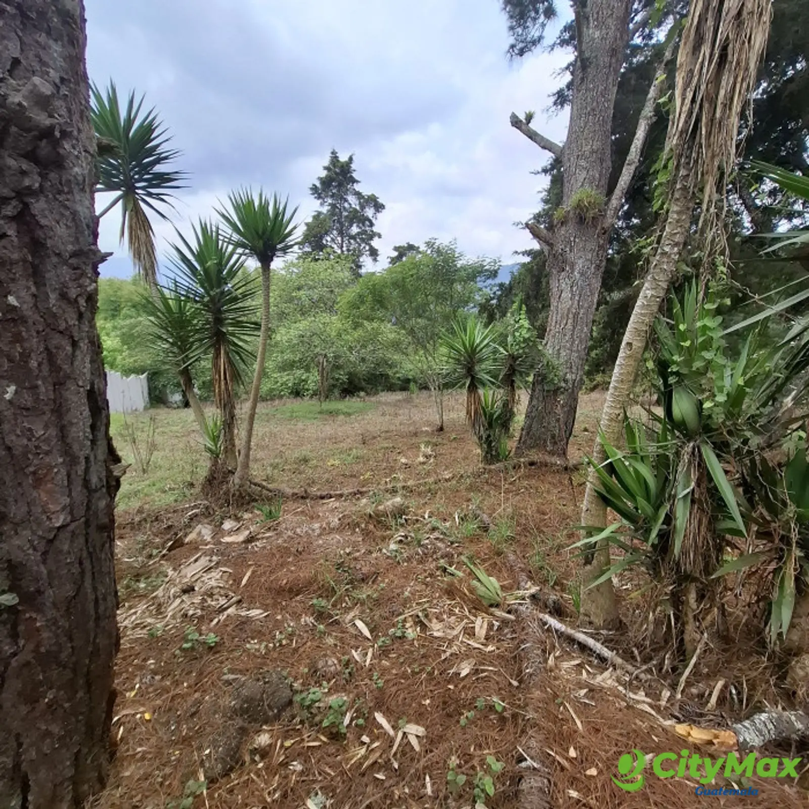 Terreno en Venta en Zona 16 El Pulté Guatemala - foto 5