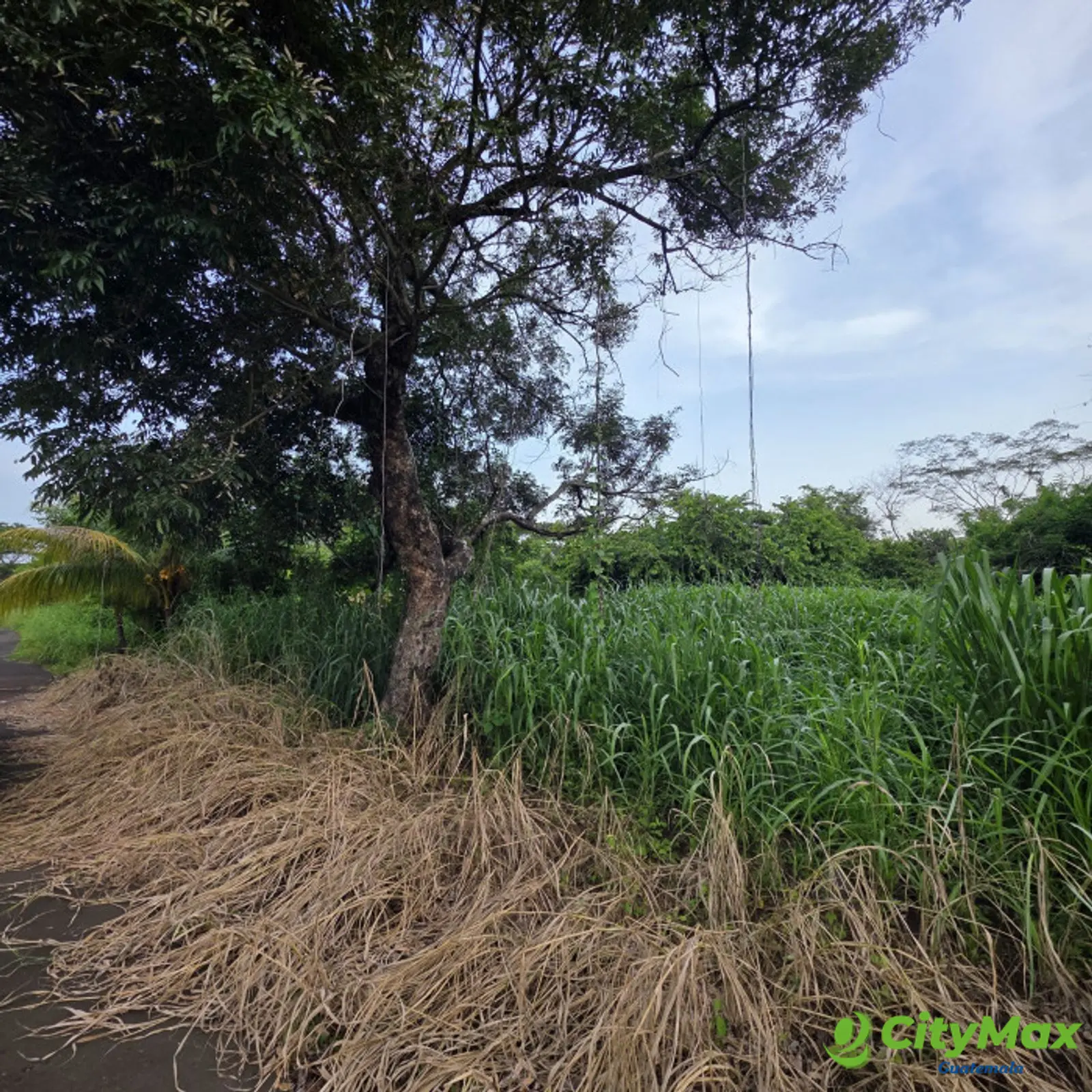 Terreno en venta en Cataratas Uxmel Puerto de San José - foto 7