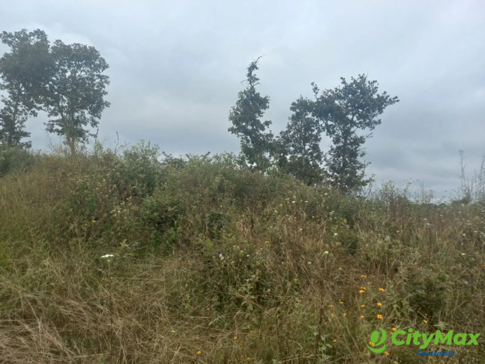 Terreno Comercial área San Pedro Ayampuc - foto 5