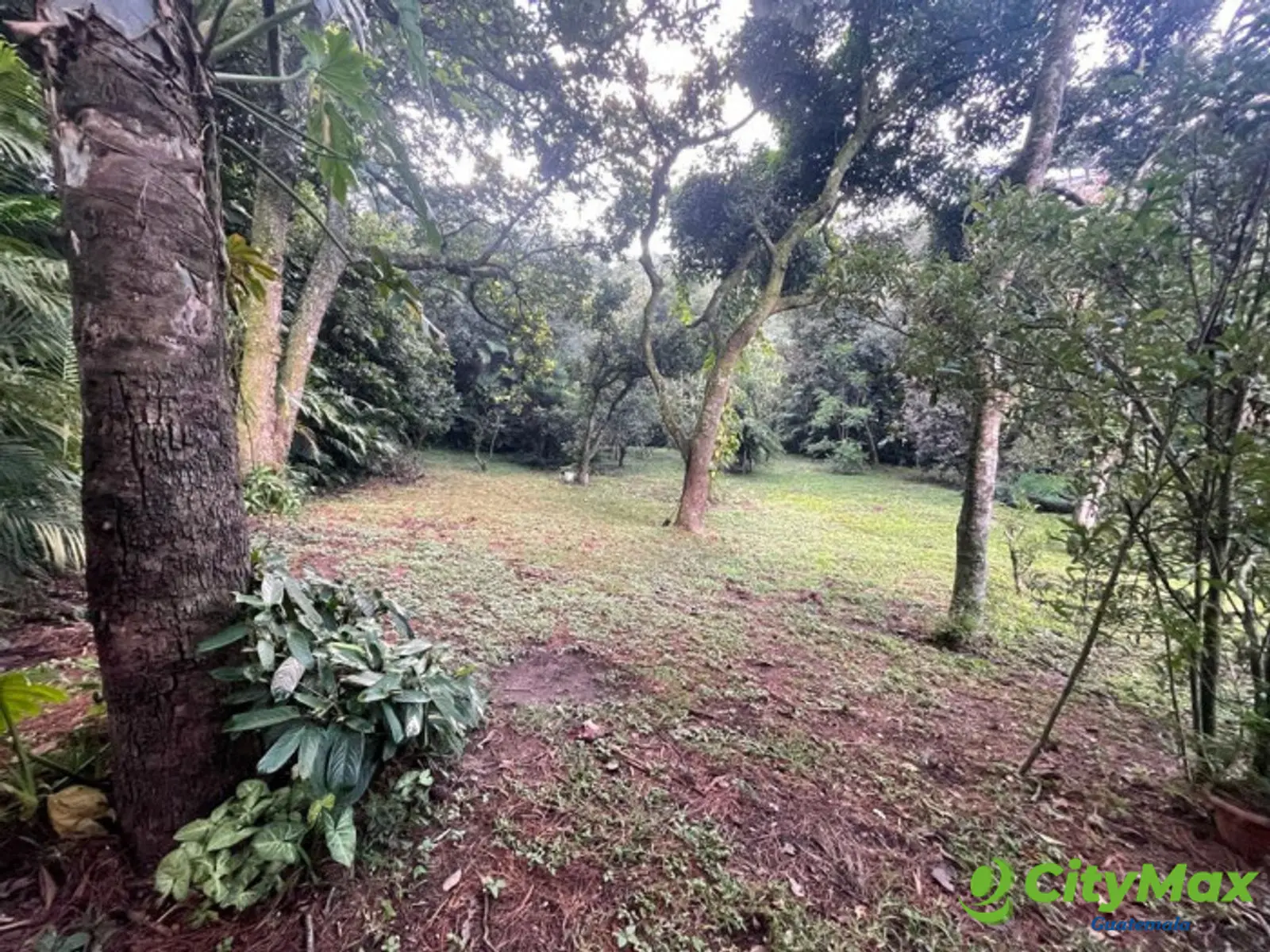 Terreno en venta Colonia trinidad zona 15 Guatemala - foto 10