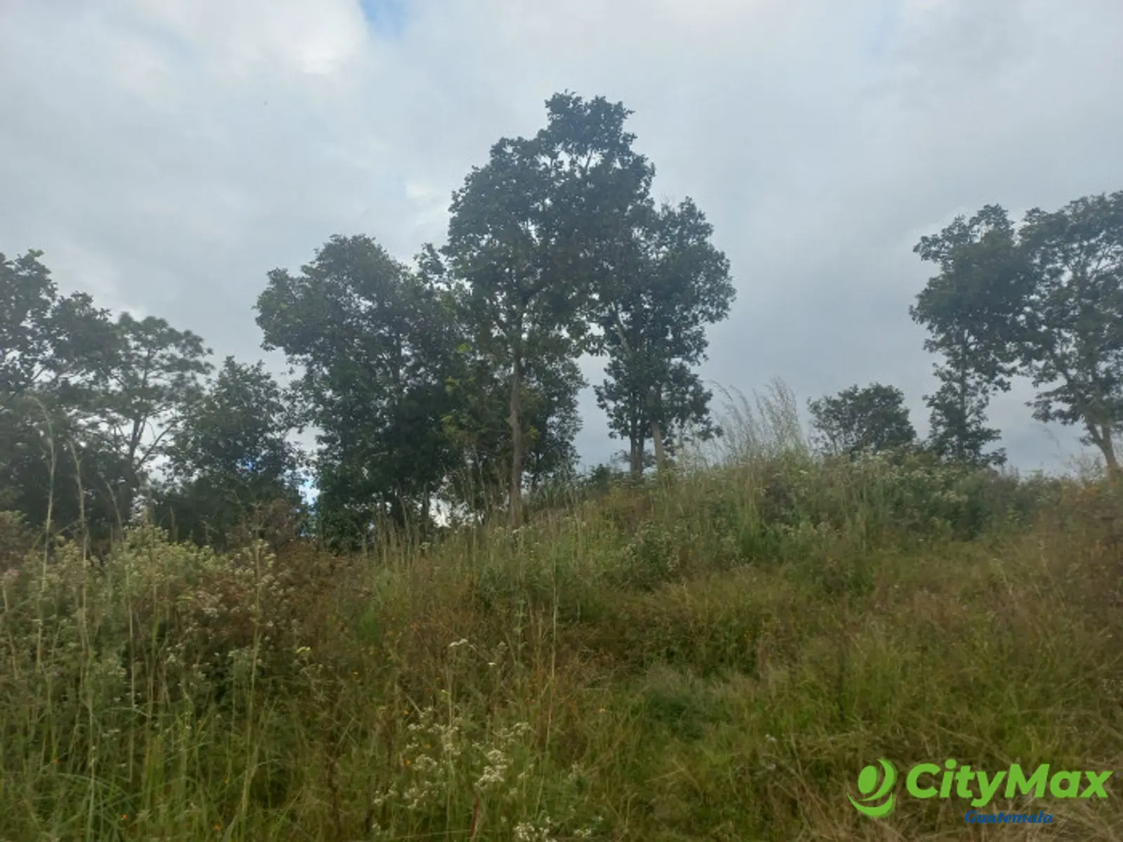 Terreno Comercial área San Pedro Ayampuc - foto 6