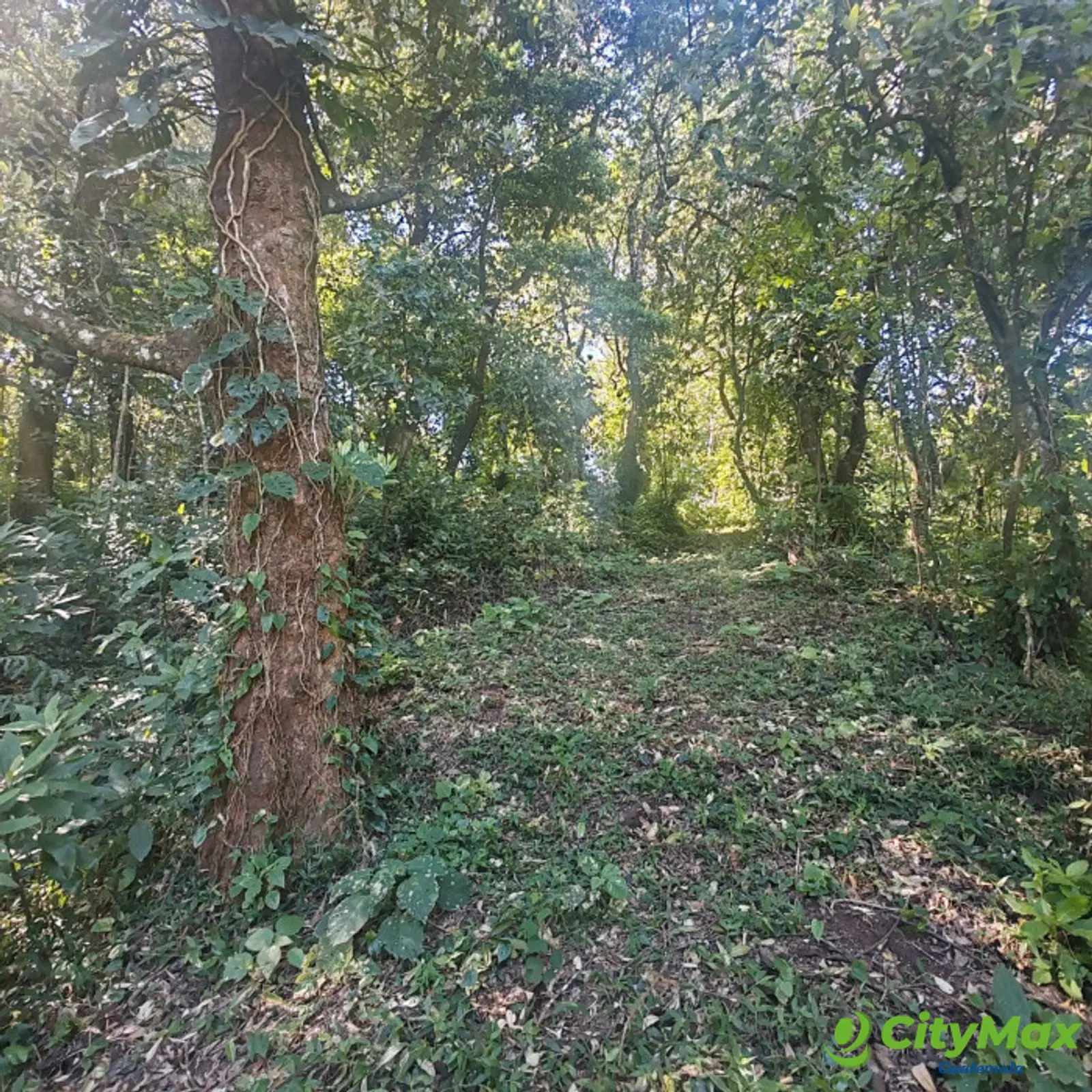 Finca en Venta de 9 manzanas en Fraijanes Guatemala - foto 2