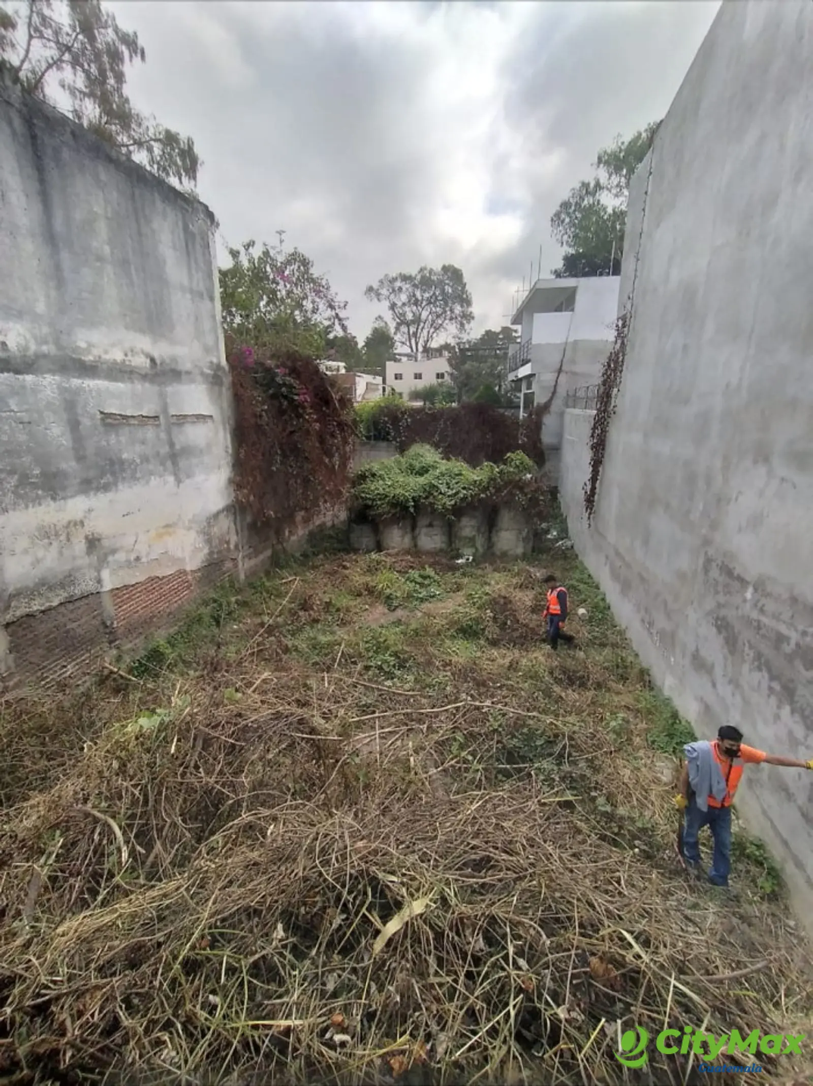 Terreno en Renta Ideal para uso Comercial en zona 2 - foto 2