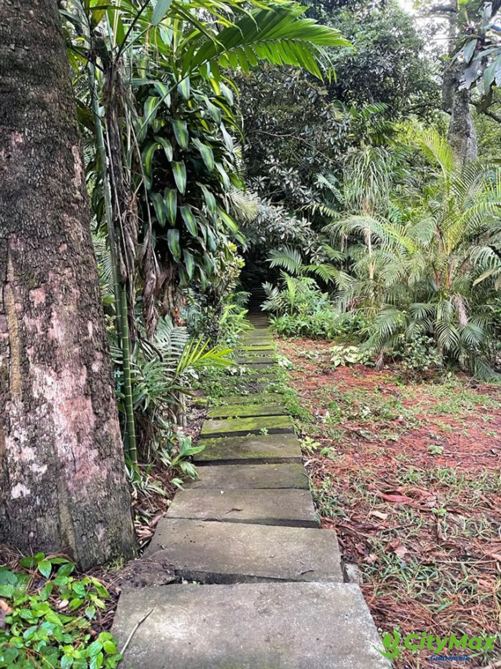 Terreno en venta Colonia trinidad zona 15 Guatemala - foto 12