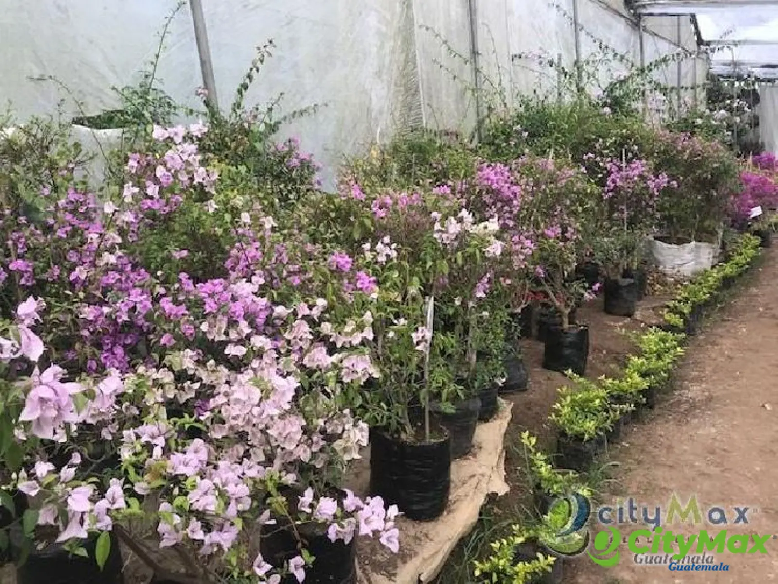 Terreno en venta para desarrollo en San José Pinula - foto 10