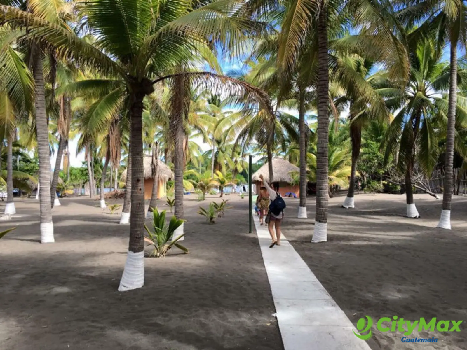 Hermoso Terreno Hotel en las Lisas Barra del Jiote - foto 4