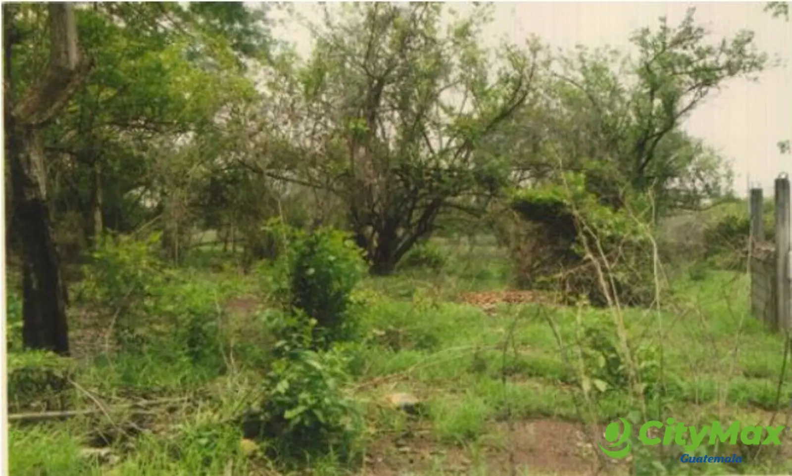 Terreno en venta Costa Linda Autopista Puerto Quetzal - foto 5