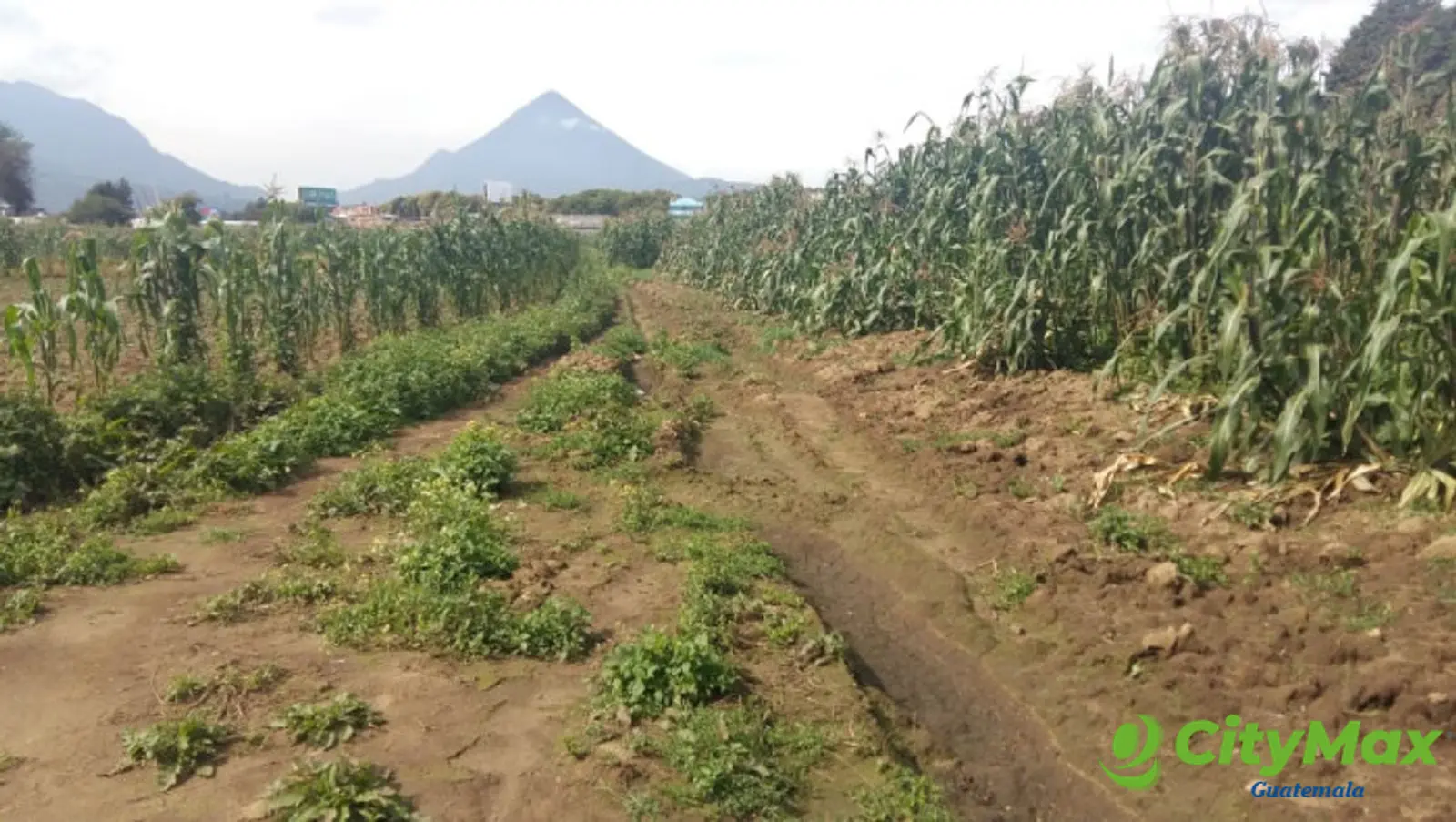 TERRENO en VENTA Ideal Inversionistas en Quetzaltenango - foto 5