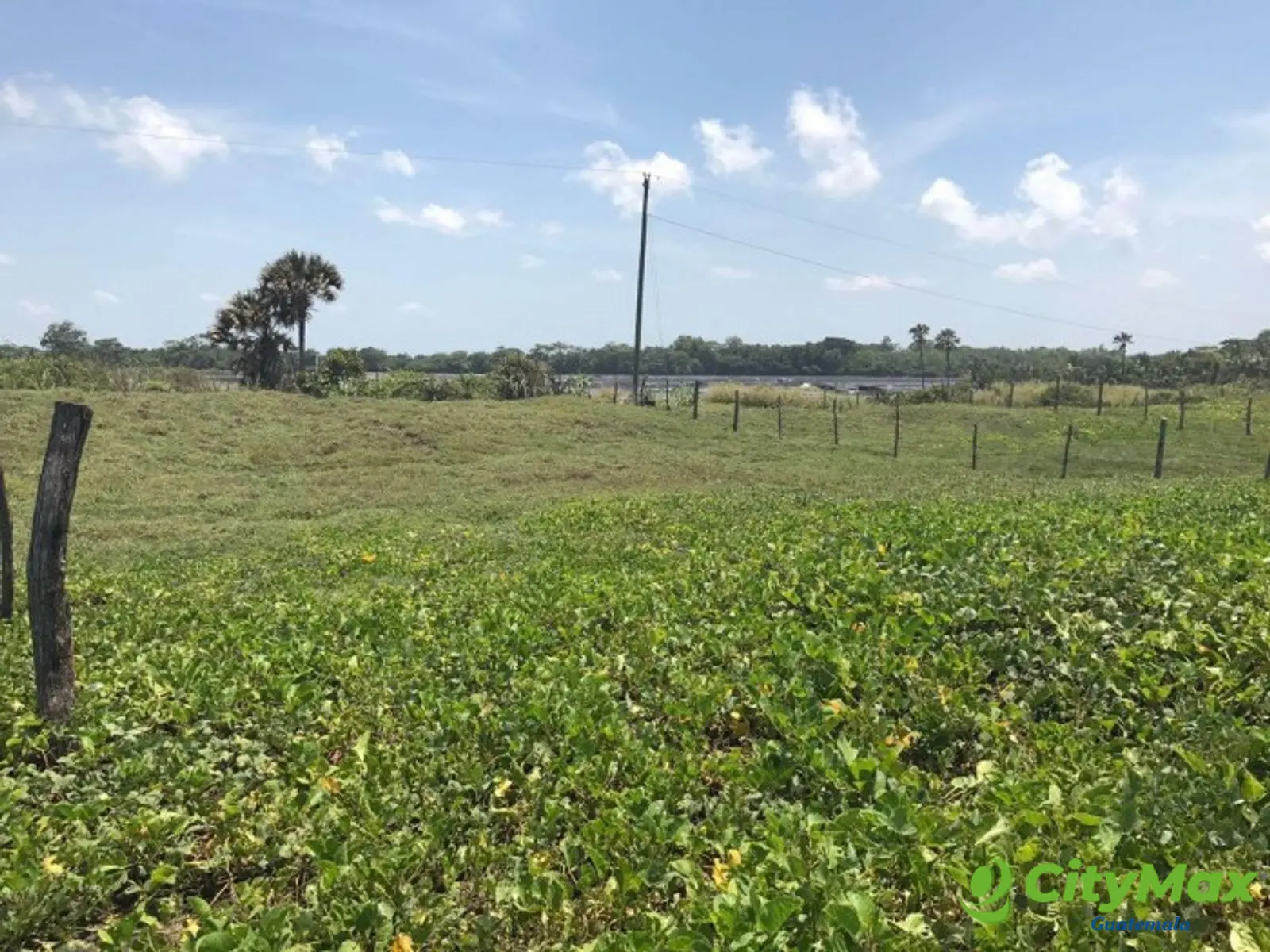 VENDO TERRENO VACACIONAL EN PLAYA RAMA BLANCA SIPACATE - foto 12