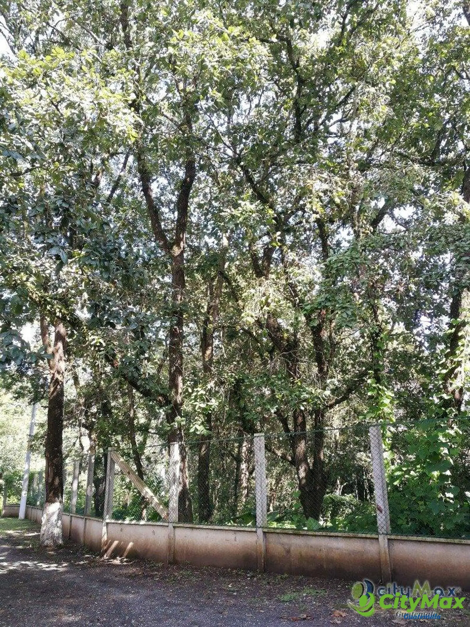 Terreno residencial en venta en Los Pinos Mixco zona 7 - foto 9