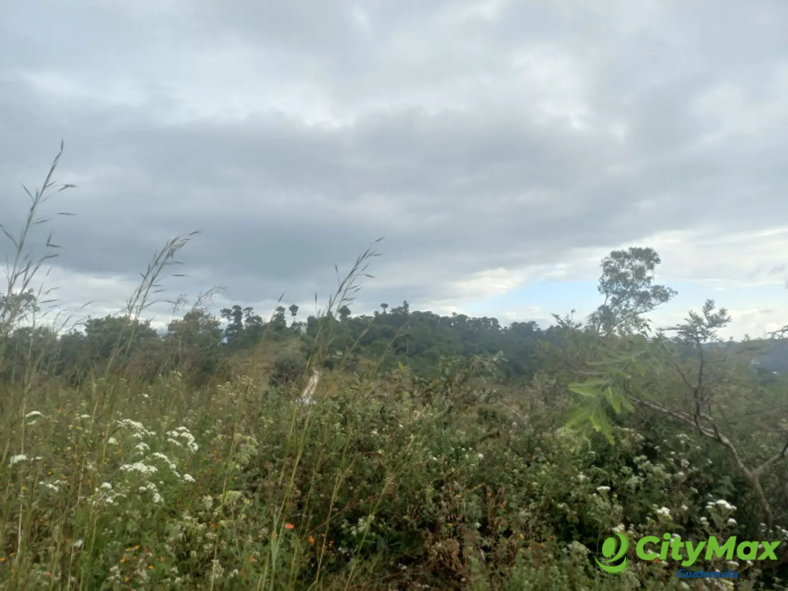 Terreno Comercial área San Pedro Ayampuc - foto 8