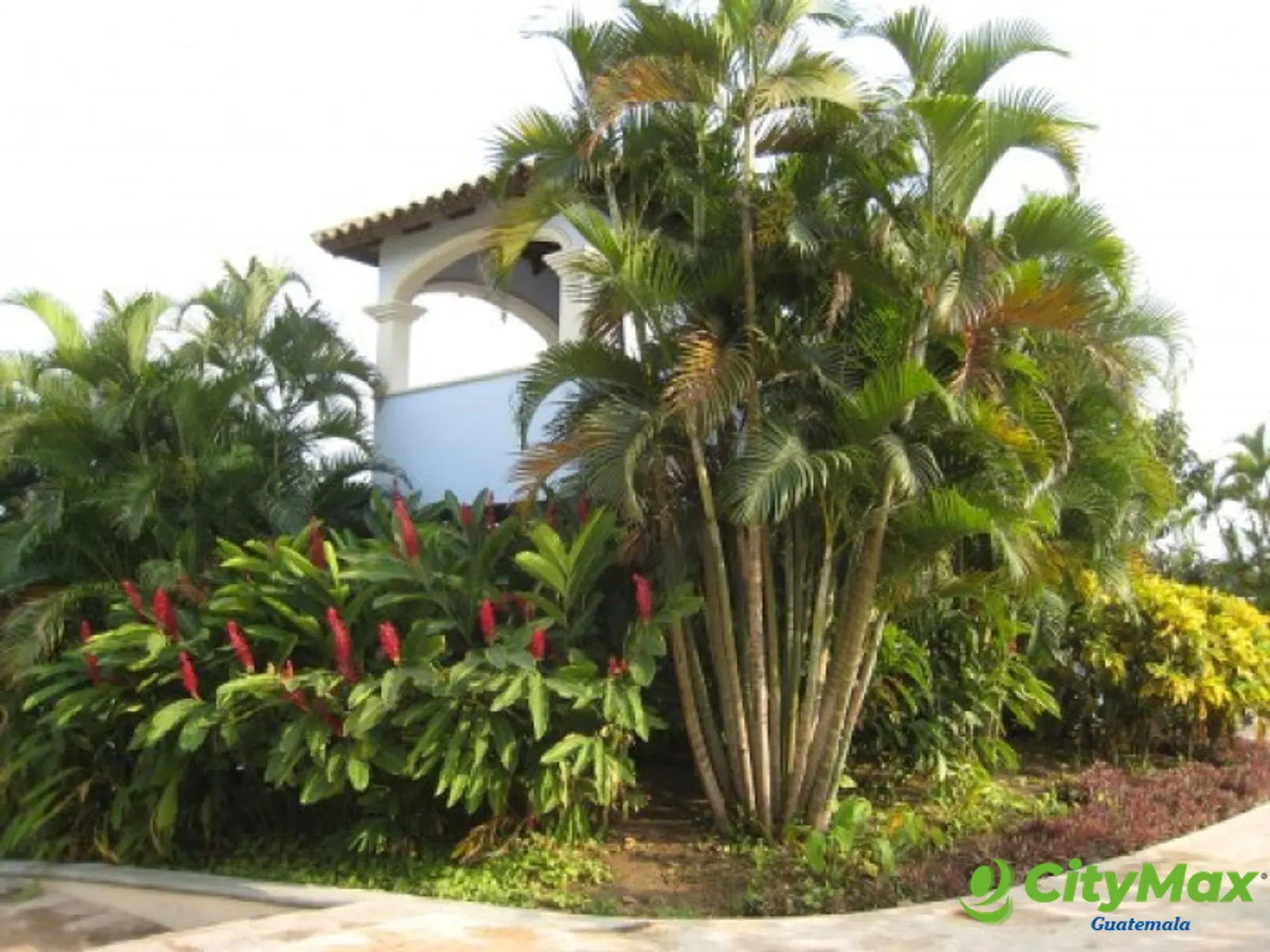 Terreno en venta en PAcific Garden Escuintla - foto 3