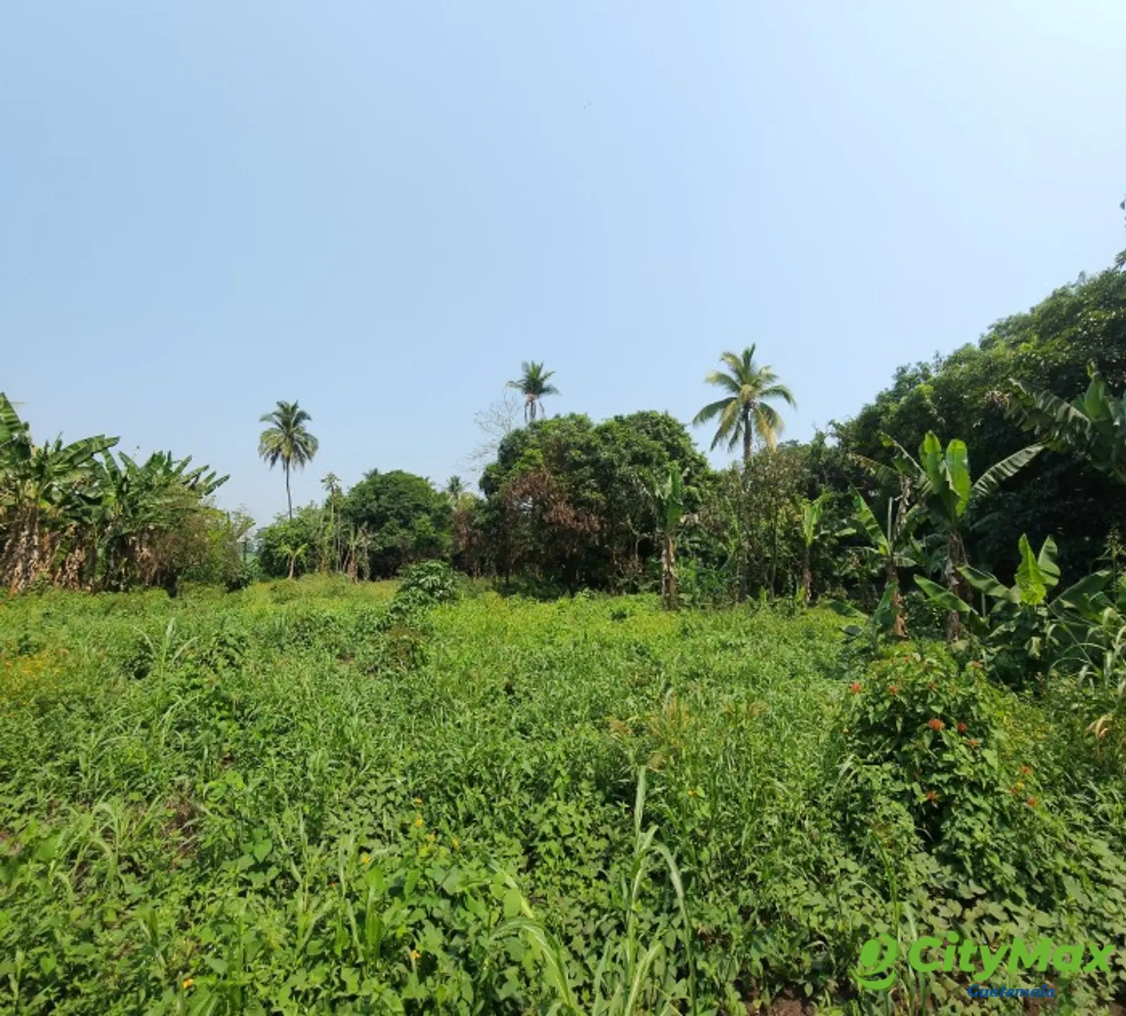 En Venta finca +40Mil Varas en el Km. 78 Ruta CA-2 - Terrenos para Bodegas