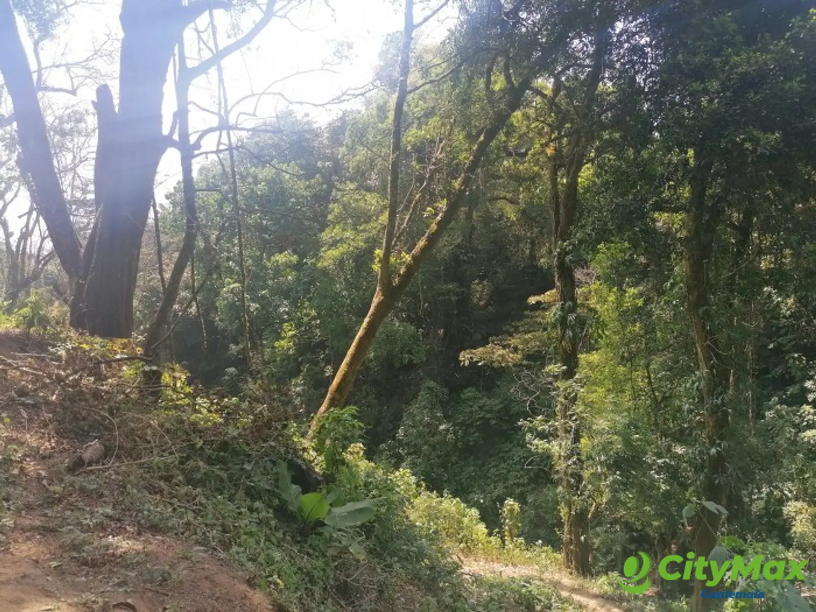 Vendo Terreno para desarrollo en Carretera El Salvador - foto 10