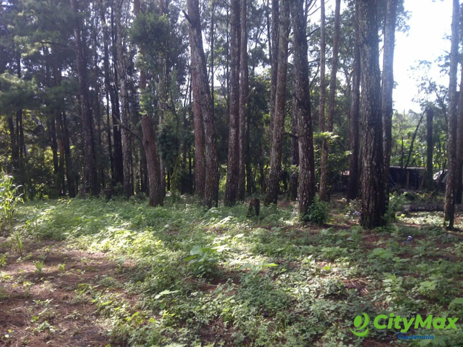 Se renta terreno de 2 manzanas Carretera al Salvador - foto 6