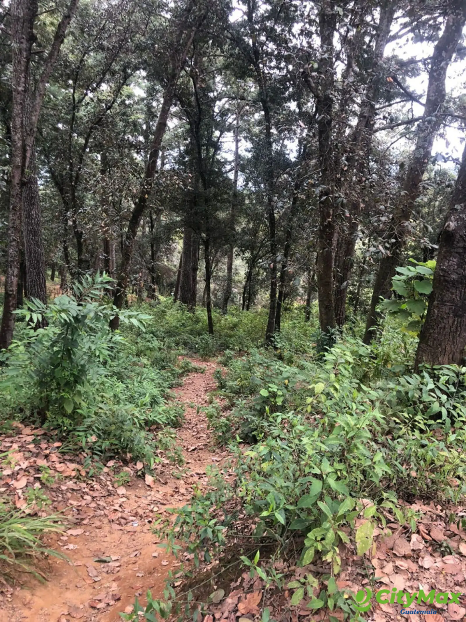 Terreno en Venta en Aldea el Choacorral San Lucas - foto 4