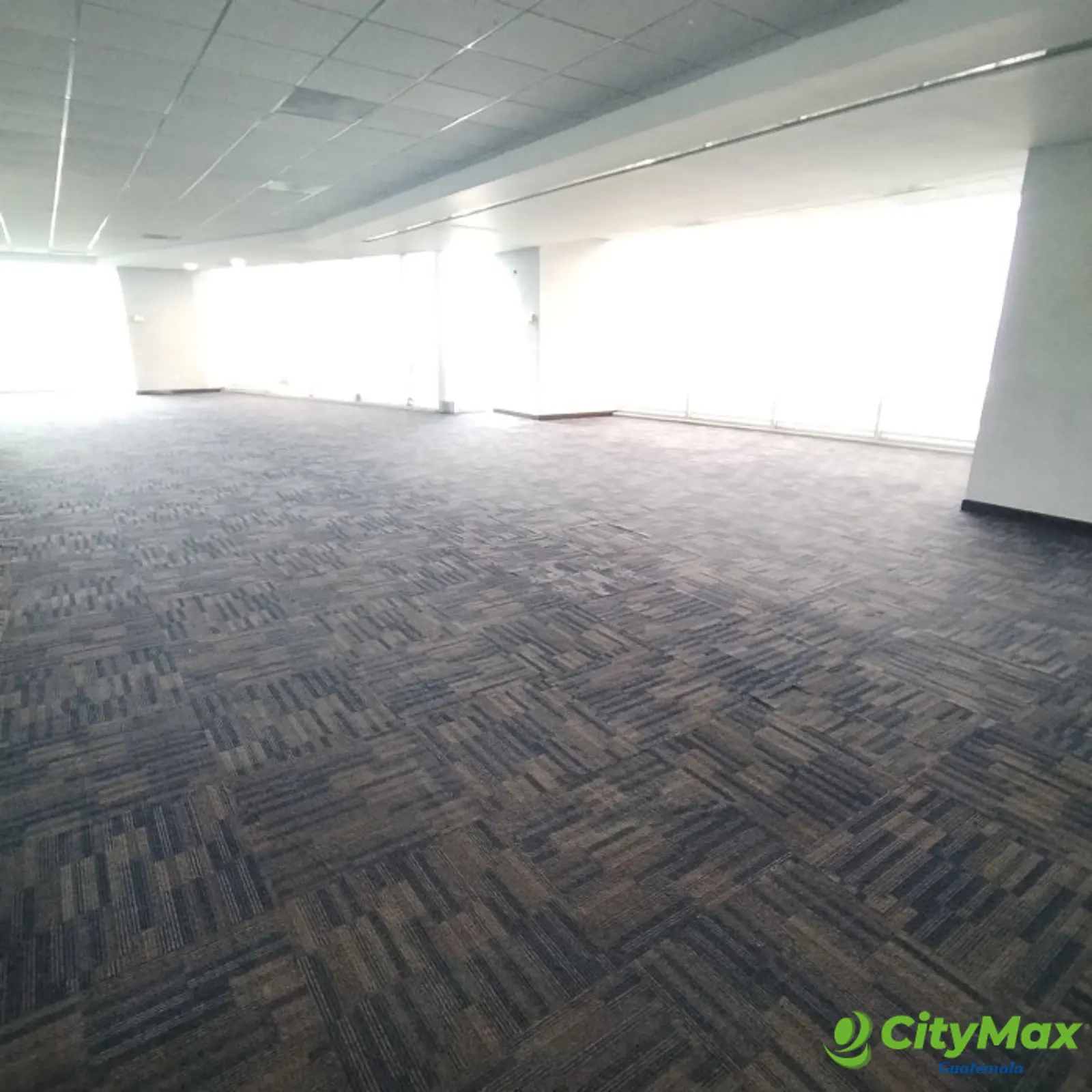 Oficina Administrativa en Renta con 696.65 Mtrs - foto 5
